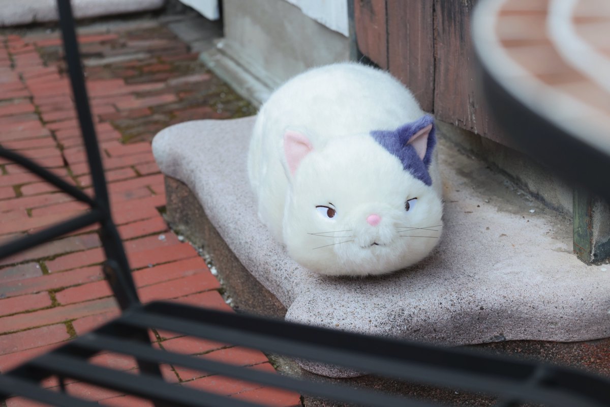 ジブリがいっぱい どんぐり共和国【公式】 on X