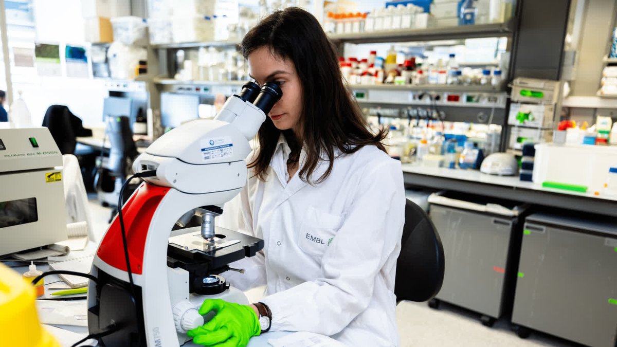 Happy International Day of Women and Girls in Science! Today, we celebrate the incredible contributions of women and girls to the world of science 🔬👩‍🔬 🎉 

A big thank you to the fantastic scientists we get to work with every day as well as our enthusiastic event participants!