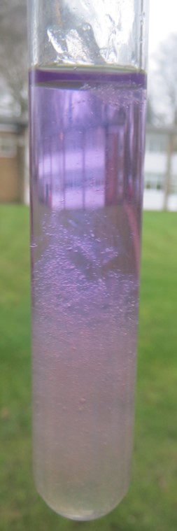 Year 8 extracted DNA from bananas today.  #sibfordscience #sibfordbiology  @sibfordoxon