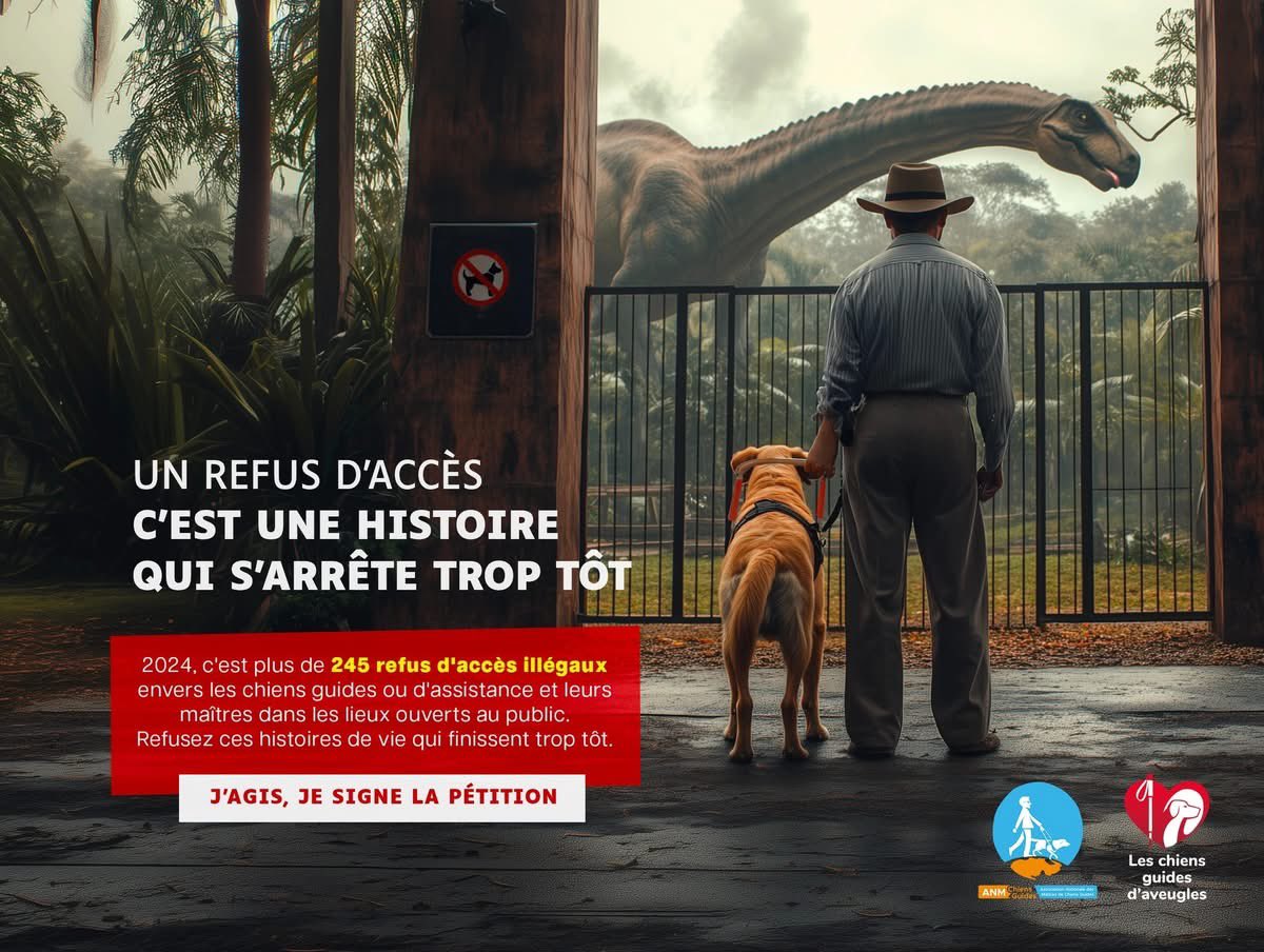 ChienGuide's tweet image. Et si leur histoire s’arrêtait là ?
Un refus d’accès, c’est un coup d’arrêt brutal. Imaginez…
Harry Potter, Alan Grant, Jack Sparrow et Amélie Poulain devant un refus d’accéder à leur destin.
245 refus en 2024.
Signez la pétition :  mesopinions.com/petition/justi…