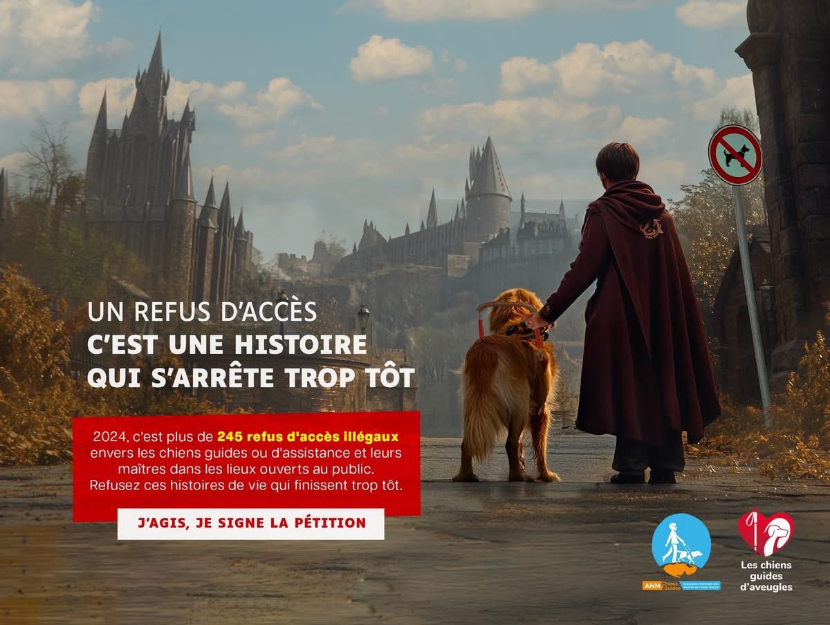 ChienGuide's tweet image. Et si leur histoire s’arrêtait là ?
Un refus d’accès, c’est un coup d’arrêt brutal. Imaginez…
Harry Potter, Alan Grant, Jack Sparrow et Amélie Poulain devant un refus d’accéder à leur destin.
245 refus en 2024.
Signez la pétition :  mesopinions.com/petition/justi…