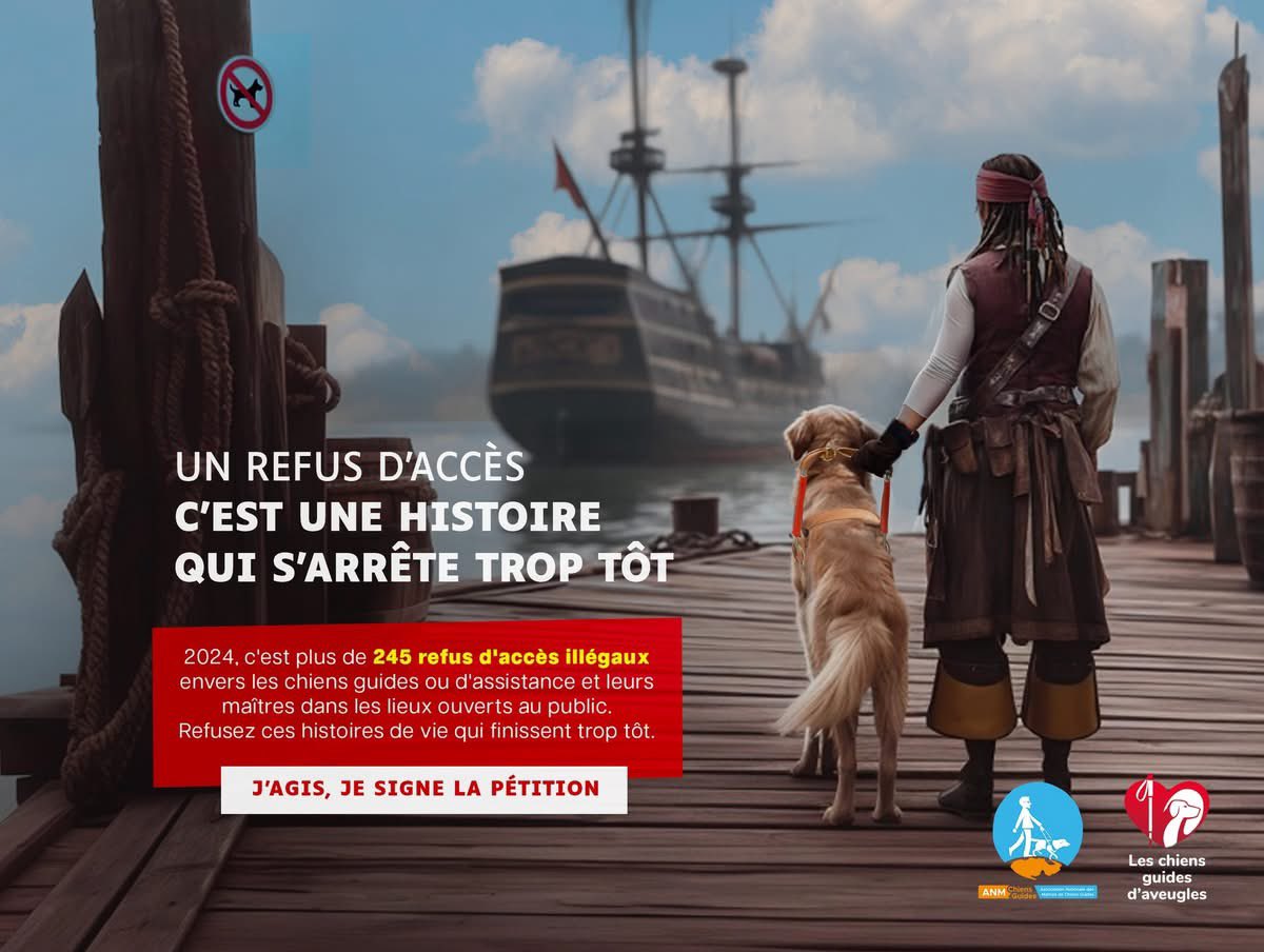 ChienGuide's tweet image. Et si leur histoire s’arrêtait là ?
Un refus d’accès, c’est un coup d’arrêt brutal. Imaginez…
Harry Potter, Alan Grant, Jack Sparrow et Amélie Poulain devant un refus d’accéder à leur destin.
245 refus en 2024.
Signez la pétition :  mesopinions.com/petition/justi…