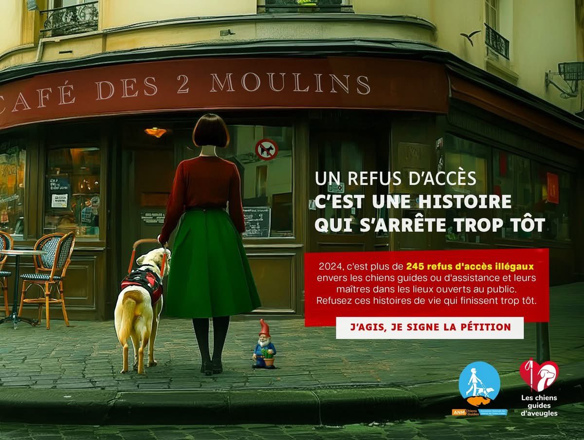 ChienGuide's tweet image. Et si leur histoire s’arrêtait là ?
Un refus d’accès, c’est un coup d’arrêt brutal. Imaginez…
Harry Potter, Alan Grant, Jack Sparrow et Amélie Poulain devant un refus d’accéder à leur destin.
245 refus en 2024.
Signez la pétition :  mesopinions.com/petition/justi…