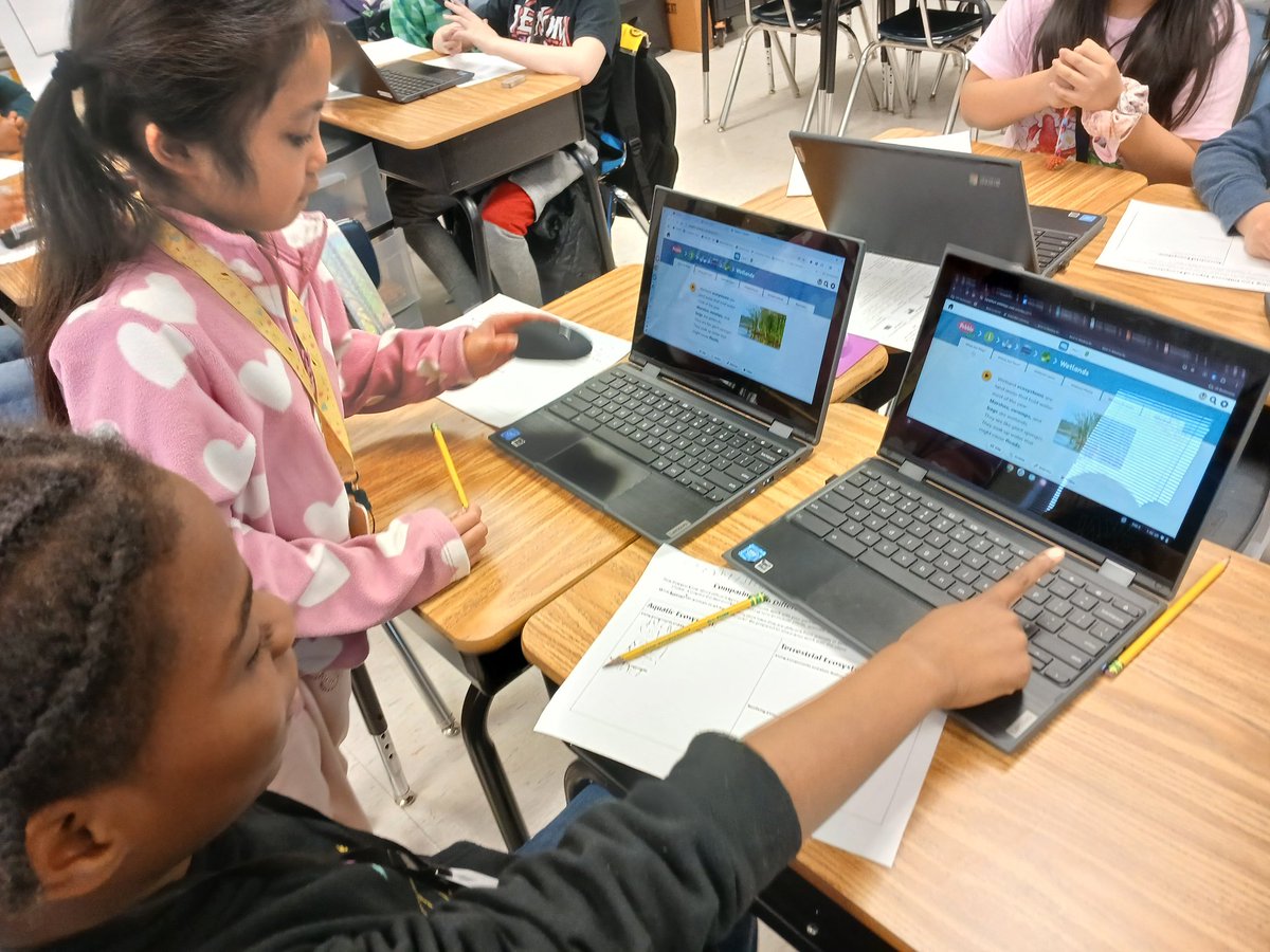 SchoolTreakle's tweet photo. Ms. Hansbury’s 3rd graders are on a wild *eco-adventure*! 🌎🌿💧 Exploring terrestrial & aquatic ecosystems, they’re uncovering food chains, energy flow & nature’s cleanup crew. Who eats who? The sun’s the boss, and decomposers rule! ☀️🔄 #TreaklePride #EcosystemExplorers https://t.co/y06AqG33sJ