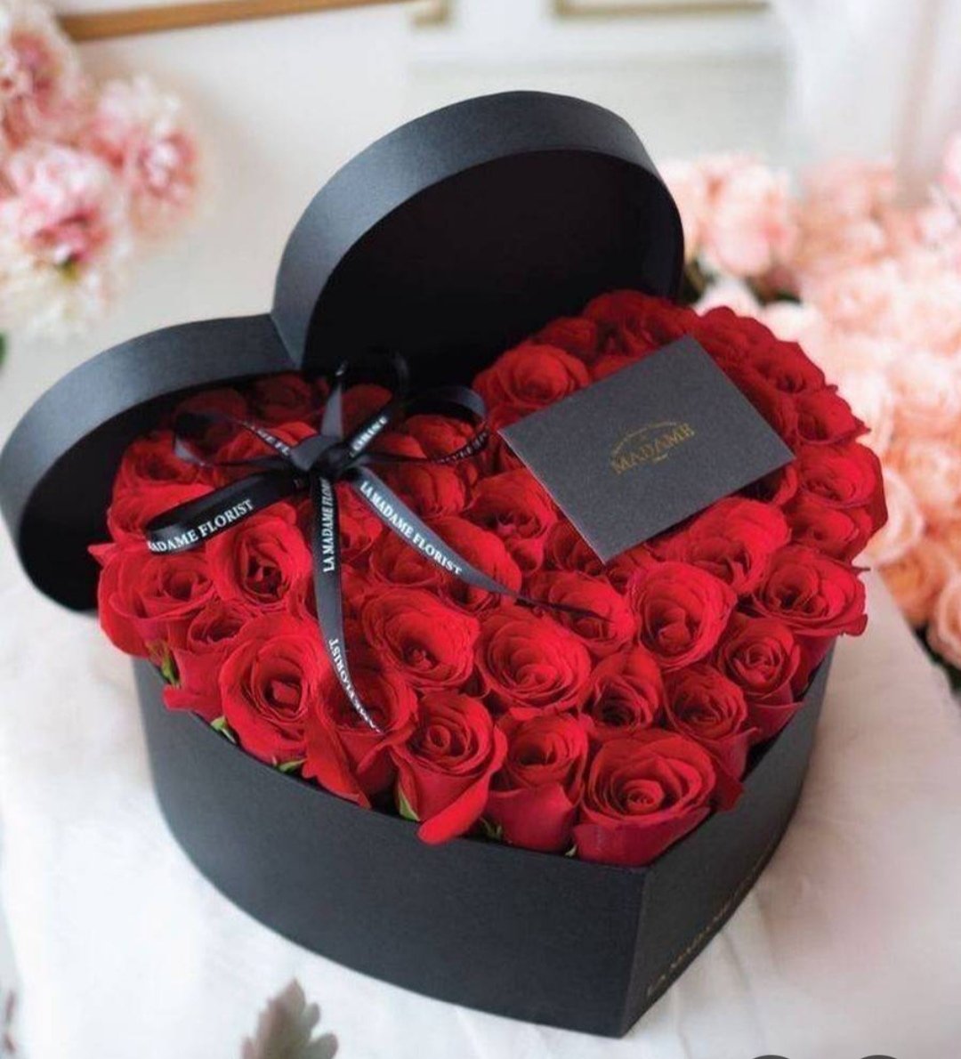 Atefehalizad's tweet photo. @rusev_simeon @Stepnofficial @nily9012 @ahmadian66477 @Pouya_n0 @AhmadianMehrab
#Love
#STEPN
#STEPNLove
#ValentinesDay
#Heart
#ValentinesDay https://t.co/jXevdl4qhb