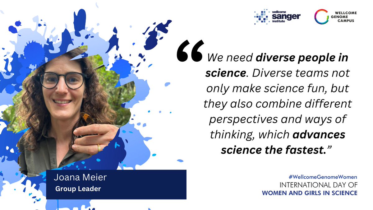 Joana Meier leads a research group focusing on evolutionary genomics with a particular interest in butterflies and moths 🦋
