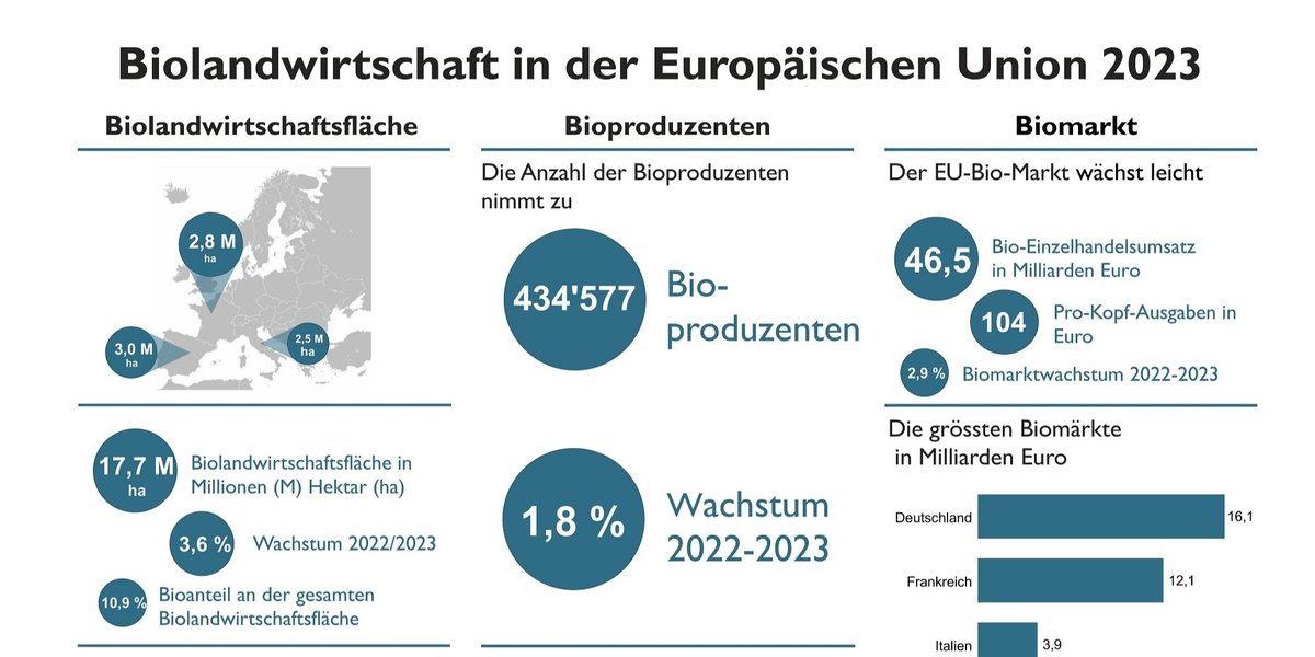 Fast 11 Prozent der landwirtschaftlichen Fläche in der EU werden biologisch bewirtschaftet

Die neuesten Daten zur Biolandwirtschaft in Europa werden am heute von 15:45 bis 16:45 Uhr auf der BIOFACH präsentiert.
pulse.ly/s6tre4j47o

<a href="/BioFachVivaness/">BIOFACH VIVANESS</a>  <a href="/FiBLStatistics/">FiBL Statistics</a>