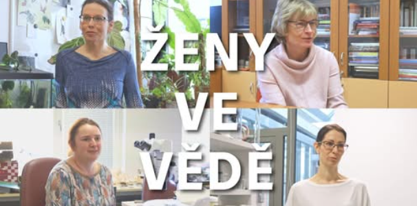 "Stereotypy odvádí ženy z vědeckých oborů. Je čas uznat, že více diverzity znamená více inovací", uvedl generální tajemník OSN  António Guterres k 11. únoru, který je Mezinárodním dnem žen a dívek ve vědě.
Svátek, který vyhlásila OSN v roce 2015, má připomenout zásadní roli žen