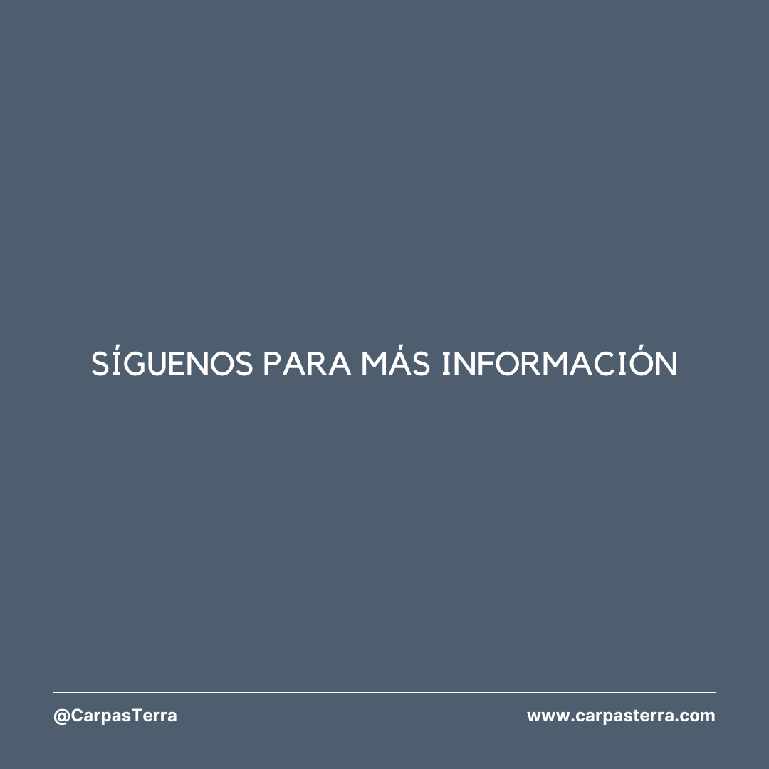 carpasterra's tweet photo. #JaimasParaEventos #EventosElegantes #CarpasDeDiseño #TransformaTuEvento #CelebracionesConEstilo #EventosConEncanto #CarpasTerra #TuEventoNuestraPasión https://t.co/7EGEcojcFI