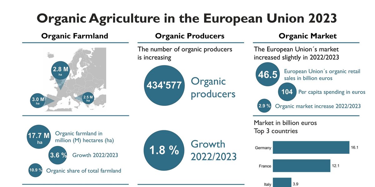 Almost 11 percent of agricultural land in the European Union is organically farmed

The latest data on organic agriculture in Europe will be presented at BIOFACH on Tuesday, February 11, from 3:45 to 4:45 pm (CET).

pulse.ly/fi5vwudofy

<a href="/FiBLStatistics/">FiBL Statistics</a>  <a href="/BioFachVivaness/">BIOFACH VIVANESS</a>