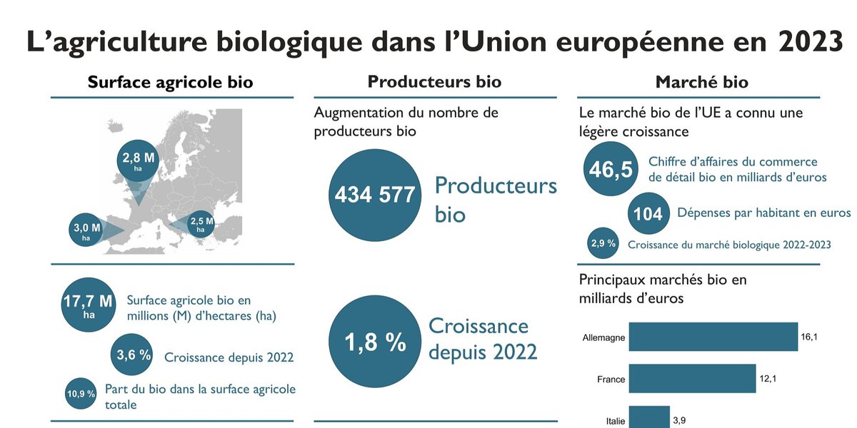Près de 11 % de la surface agricole de l’Union européenne cultivée en bio

Les dernières données sur l’agriculture biologique en Europe seront présentées le 11 février 2025, de 15 h 45 à 16 h 45, lors du BIOFACH.

fibl.org/fr/infotheque/…

<a href="/BioFachVivaness/">BIOFACH VIVANESS</a>  <a href="/FiBLStatistics/">FiBL Statistics</a>