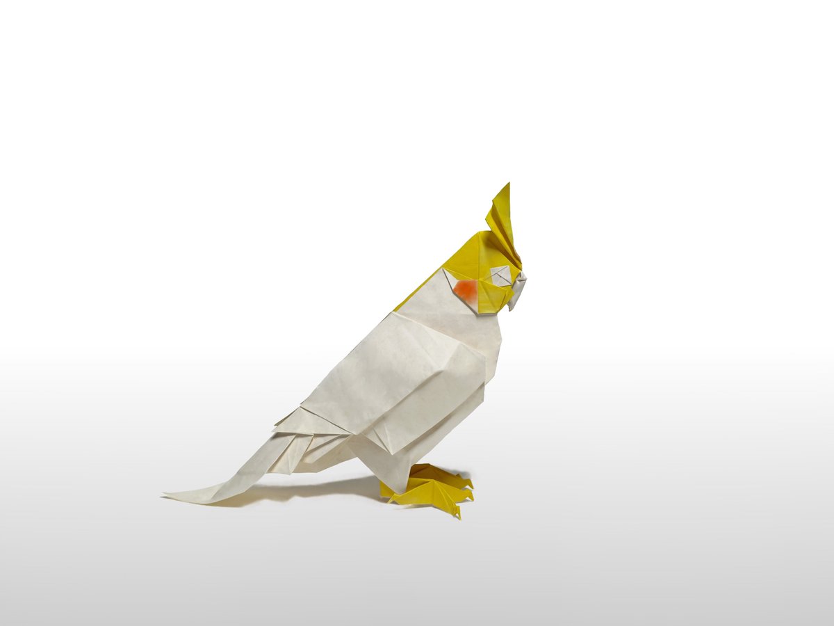 玄凤鹦鹉
设计折叠:本人
#折纸 #折り紙作品 #ORIGAMI