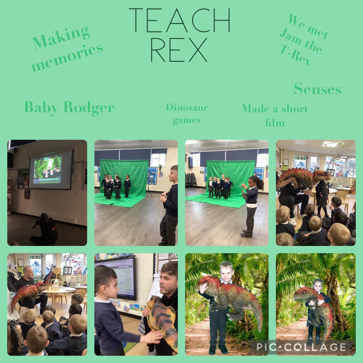 Gorsefield Primary School tweet media