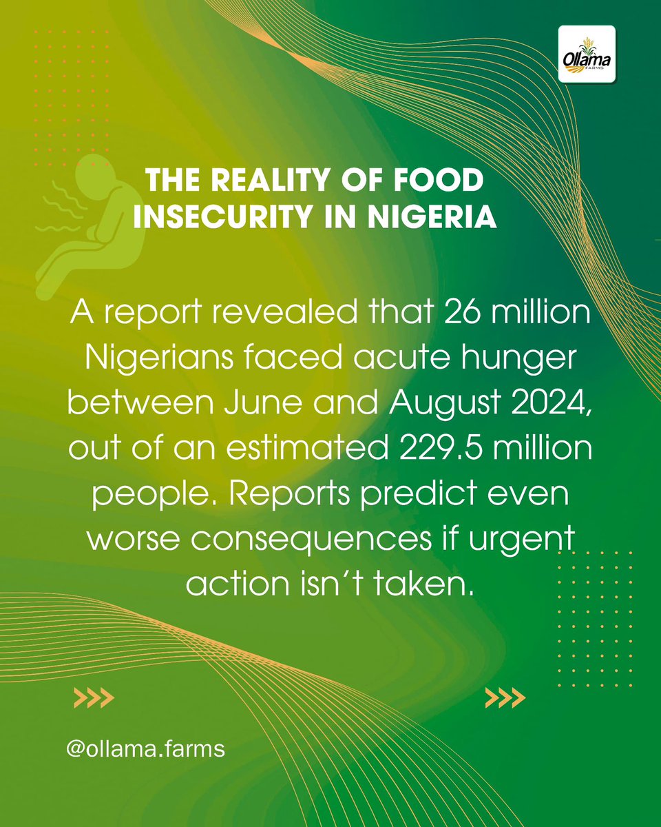 ollamafarms's tweet photo. Food insecurity has now become a topical issue in Nigeria. We did some findings, and here are some solutions we believe could make a real difference. 

It's a 🧵

#foodinsecurity #ollamafarms #agricultureinvestment https://t.co/HaeMj3IupZ