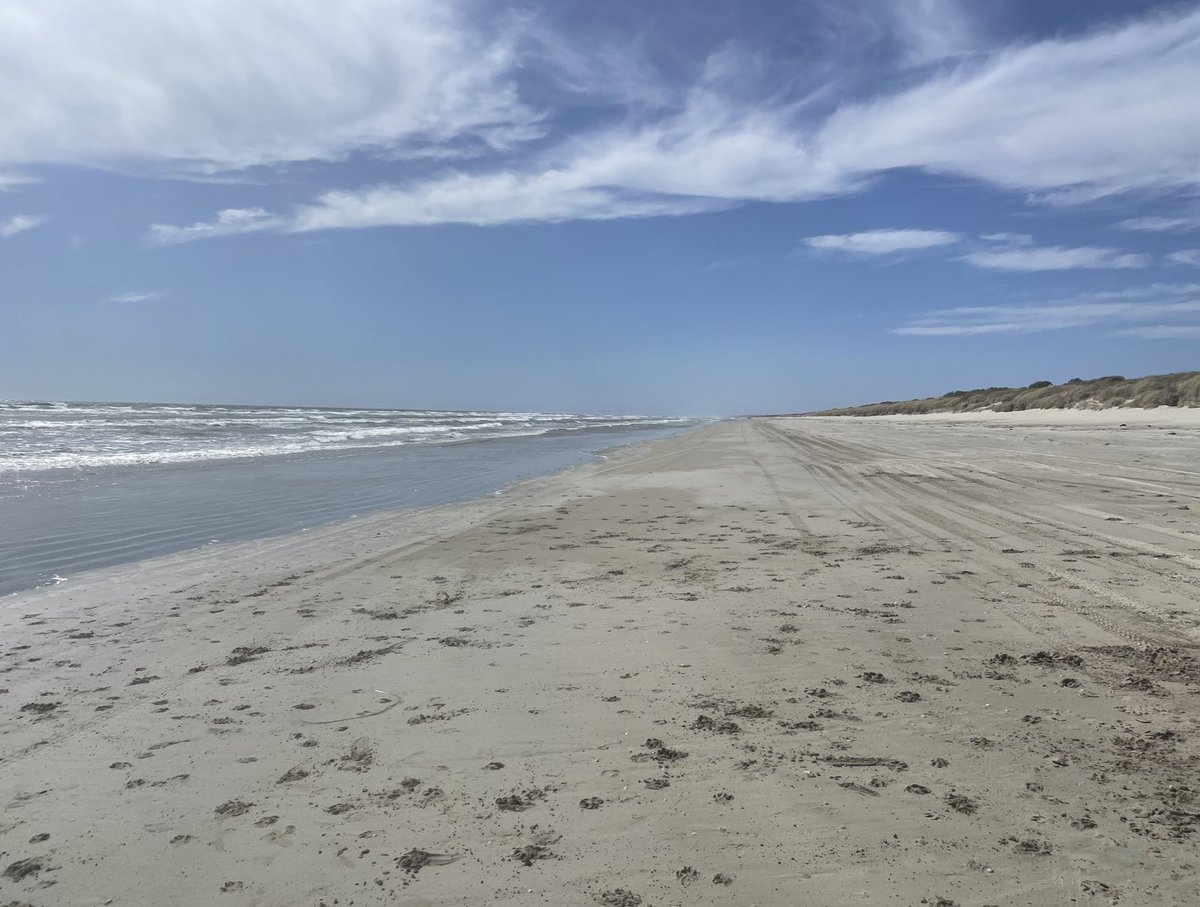 BaileyAdventur1's tweet photo. Endless would be an exaggeration but this beach is 72km long, not a soul in sight!  South Australia. https://t.co/Ctv1ngpbDI