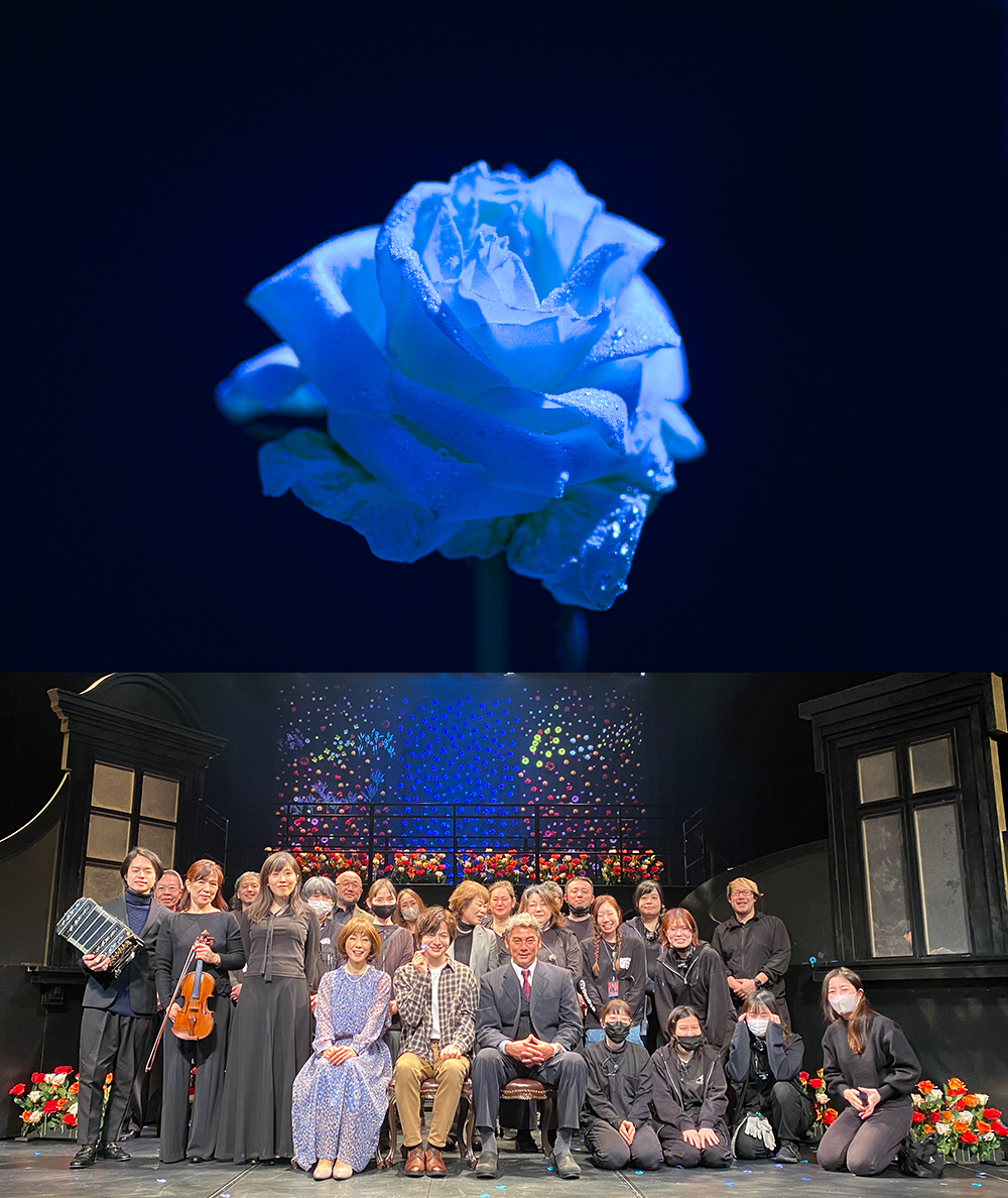 Praguebridge's tweet photo. もう一度咲かせたい、幸せの青い薔薇

また劇場でお会いしましょう。ありがとうございました。

＃竹島宏　＃庄野真代　＃宍戸開　#musicalプラハの橋　＃紀伊國屋サザンシアターTAKASHIMAYA  ＃京都劇場 https://t.co/W90I9XaSJE