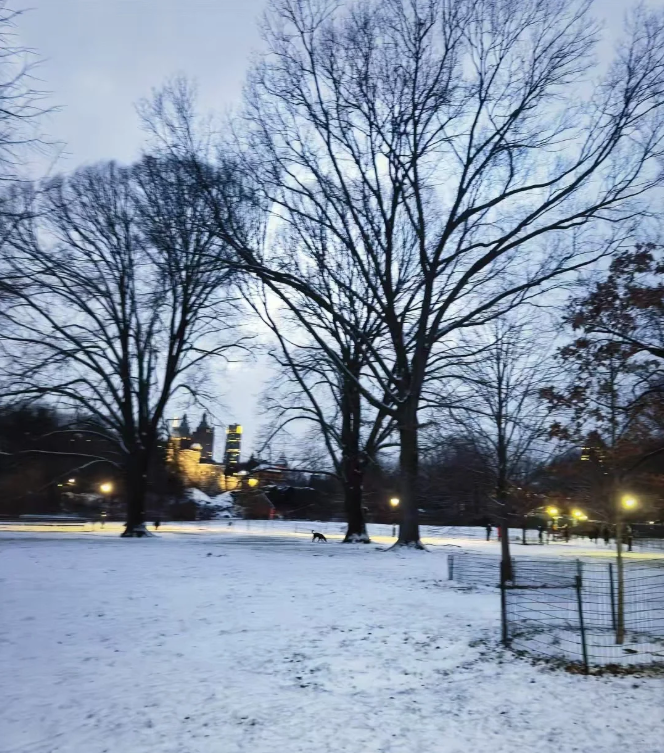 Central Park after heavy snow