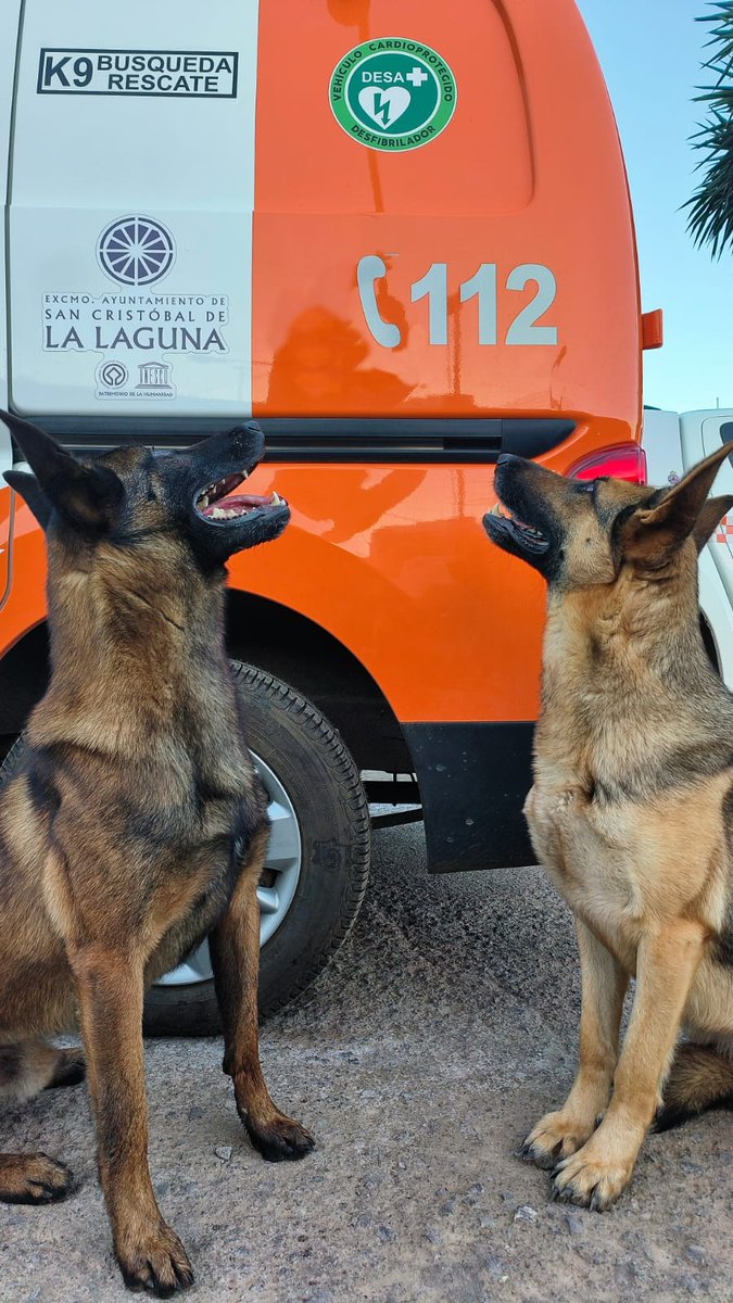 🙌 Un número gratuito, único en toda la Unión Europea y que nos brinda una ayuda inmediata.

📆 Conmemoramos el Día Europeo del 112, un gran aliado en las situaciones de emergencia para las agrupaciones de voluntarios y las Fuerzas y Cuerpos de Seguridad del Estado.