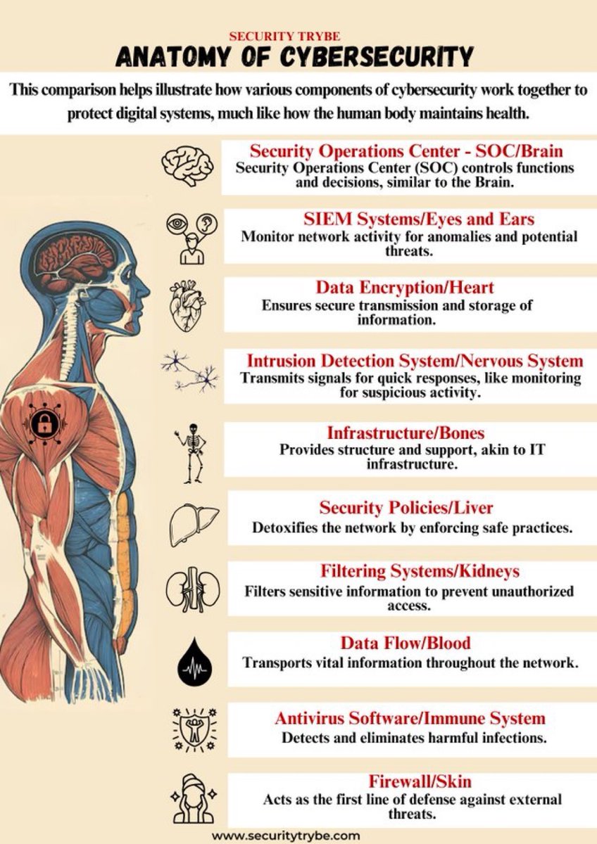 SecurityTrybe's tweet photo. Anatomy of Cybersecurity https://t.co/dZzqLj6TI7