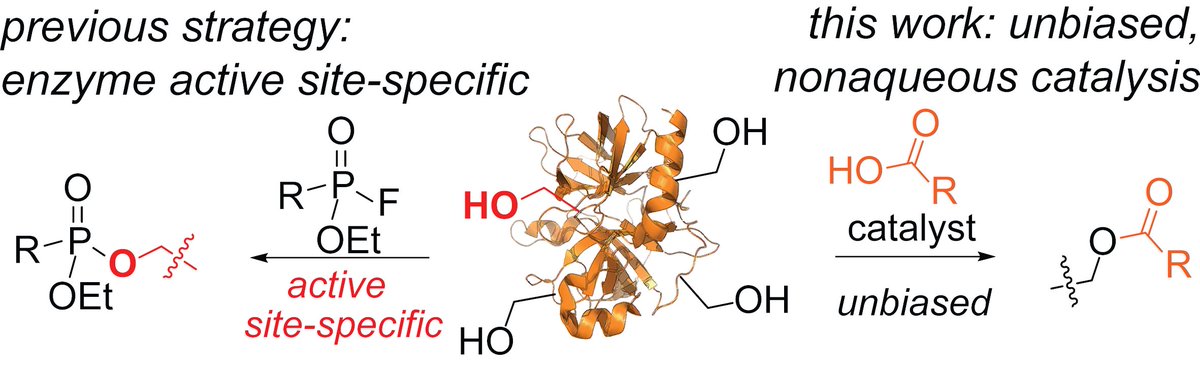 Ohata Lab (@ohatalab) on Twitter photo Serine has diverse roles in living systems, but development of serine labeling tools has been a challenge. Our work published <a href="/ChemEurJ/">ChemEurJ: Chemistry - A European Journal</a> achieved chemoselective serine acylation in an unbiased manner!
doi.org/10.1002/chem.2… Serine has diverse roles in living systems, but development of serine labeling tools has been a challenge. Our work published <a href="/ChemEurJ/">ChemEurJ: Chemistry - A European Journal</a> achieved chemoselective serine acylation in an unbiased manner!
doi.org/10.1002/chem.2…
