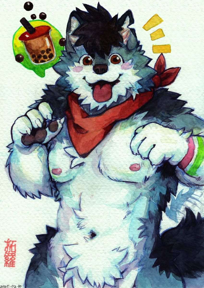 toronoekaki's tweet image. Aki the Malamute (OC of @akimalamute)

Date: 2025-02-10
Size: A5
Medium: Watercolours

#furryart