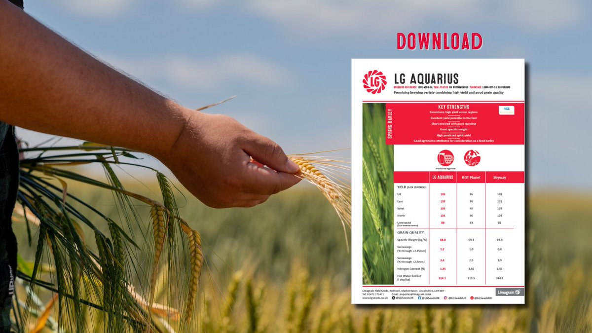 LGSeedsUK tweet media