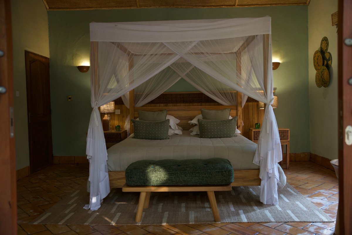 wekesa_amos's tweet photo. Primate lodge Kibale, Kibale national park 

Photos by ⁦@kylanwekesa⁩ https://t.co/w6ekq6NqoQ