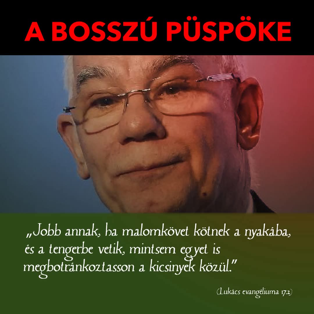 Dúró Dóra tweet media