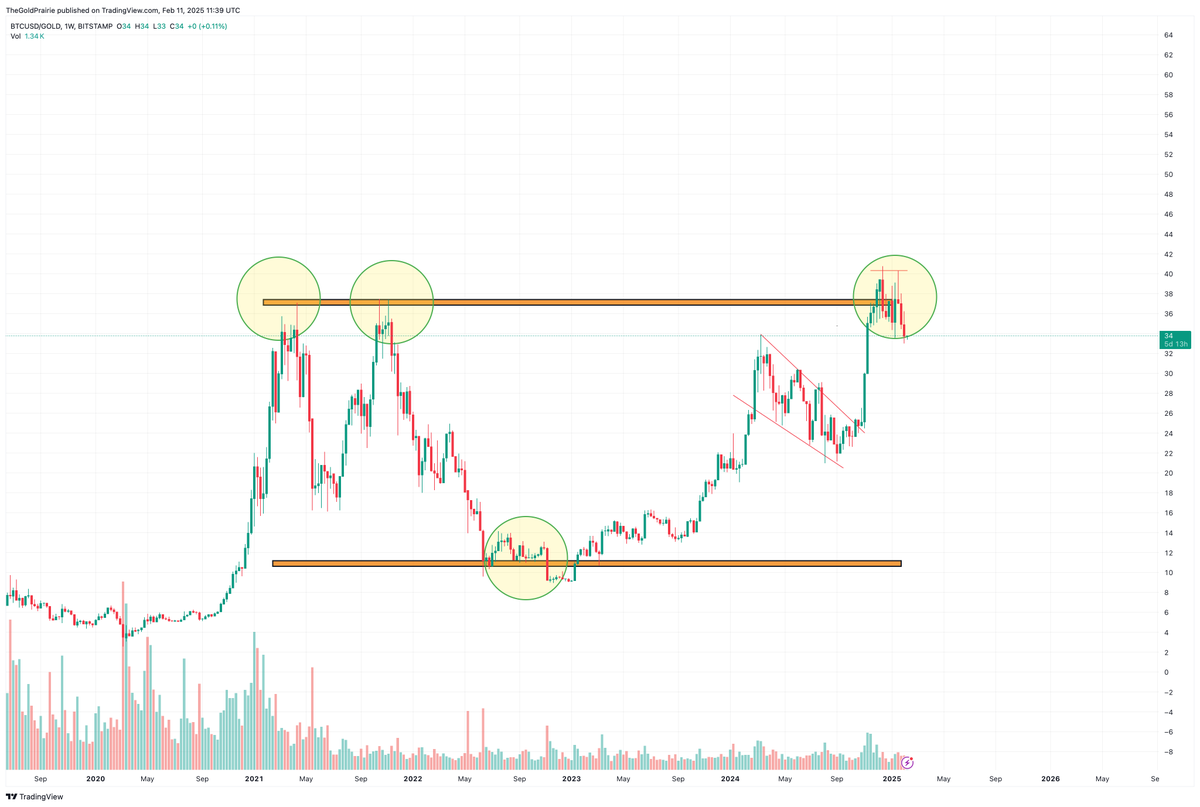 TheGoldPrairie tweet media