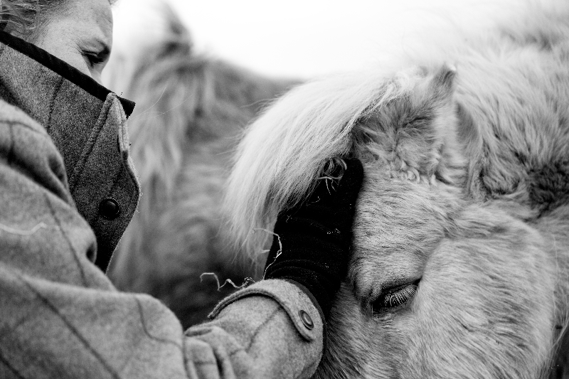 Compassionate Leadership - how can horses help? - mailchi.mp/27a5bd68eb0a/i…