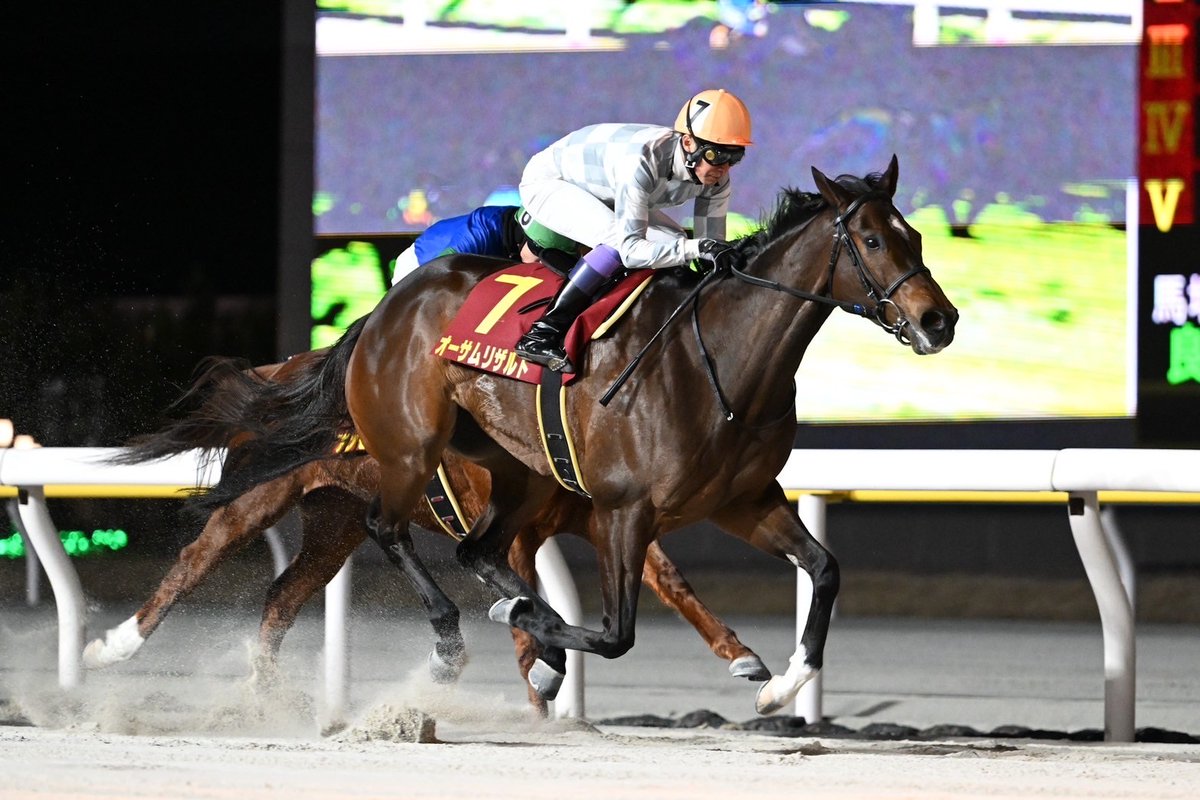 地方競馬全国協会(NAR)公式 on X: 