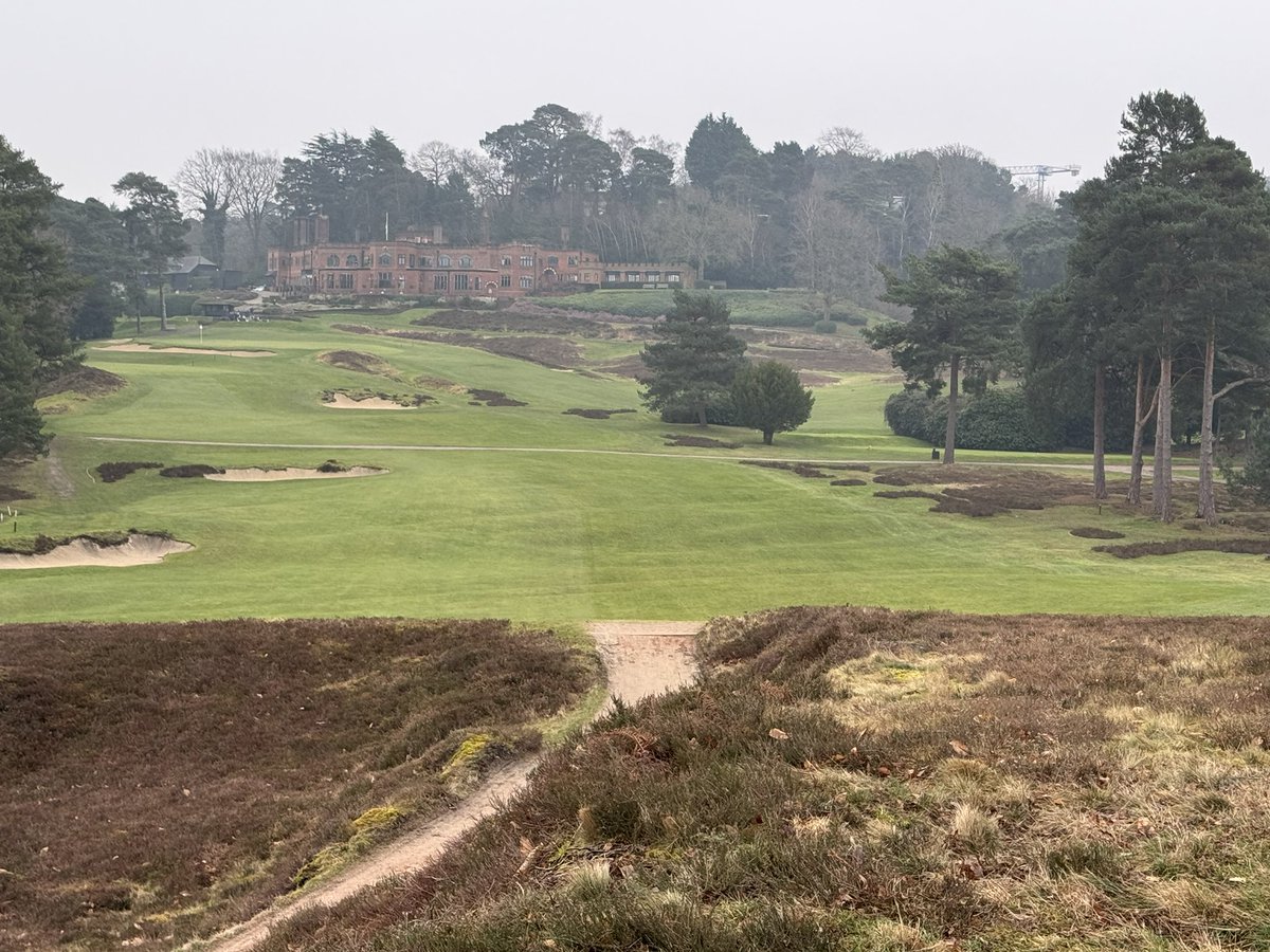 AndyEwence's tweet photo. Great work and vision yet again by the greens team @StGeorgesHillGC. Hard work over the Christmas period transplanting heather from off site onto our 9th hole. Visually better off the tee and brings the heather back into play. Great working with @SurreyWT again. https://t.co/vvDSIvuavG