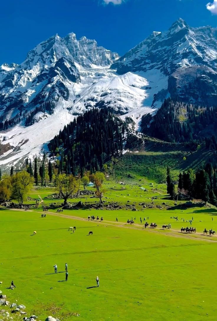 MirFaizan306's tweet image. #Sonamarg #kashmir 
Sonamarg, also known as Sonmarg, is a beautiful hill station located in the Ganderbal district of  Kashmir.  It is often referred to as the Meadow of Gold due to its stunning landscape.