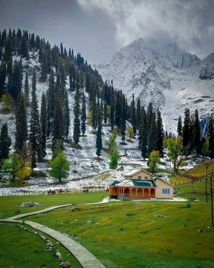 MirFaizan306's tweet image. #Sonamarg #kashmir 
Sonamarg, also known as Sonmarg, is a beautiful hill station located in the Ganderbal district of  Kashmir.  It is often referred to as the Meadow of Gold due to its stunning landscape.