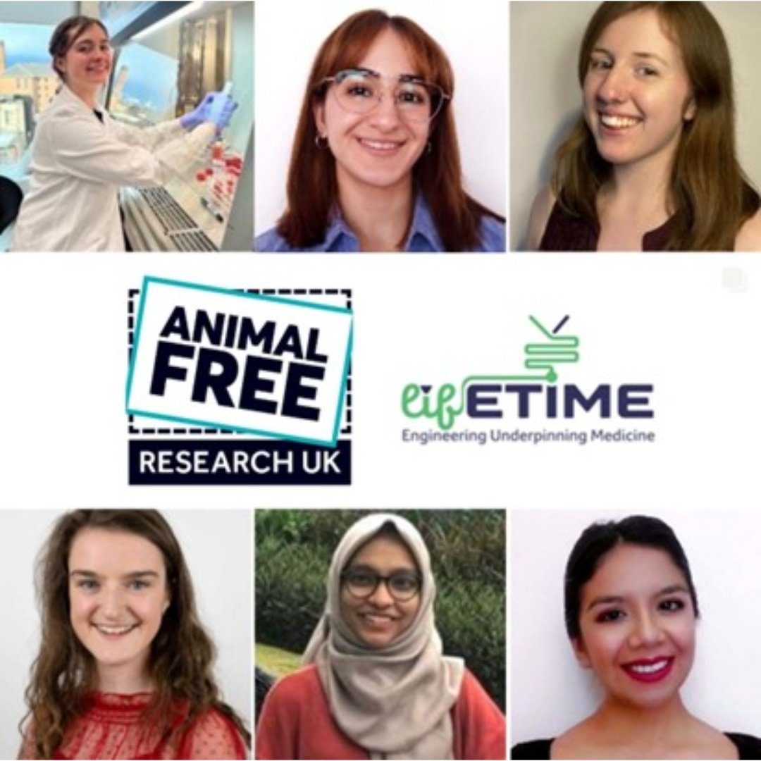Did you know that only 30% of the world’s researchers are women?

But at Animal Free Research UK, we’re proud that over half of our grant holders are female! Their work is transforming medical research without the use of animals.

#InternationalDayofWomenandGirlsinScience #IDWGS