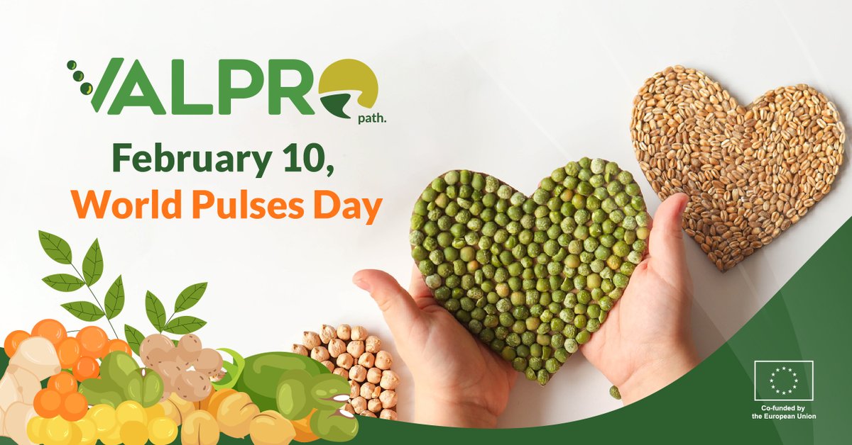 Yesterday was World Pulses Day! 🌱✨ 

Peas, chickpeas, lentils &amp; soybeans are protein-rich, eco-friendly superfoods. 

At VALPRO Path, we are driving sustainable plant protein in the EU. Learn more about our innovative work: valpropath.eu 🌍💚 

#WorldPulsesDay