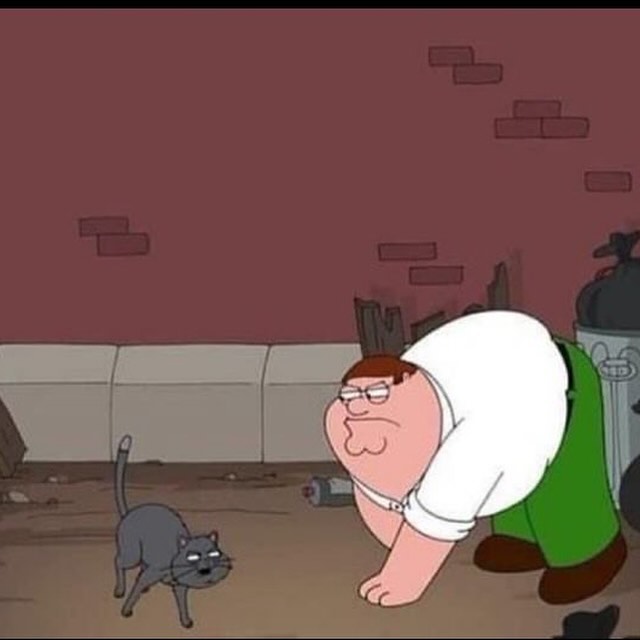 PunchingCat's tweet image. 