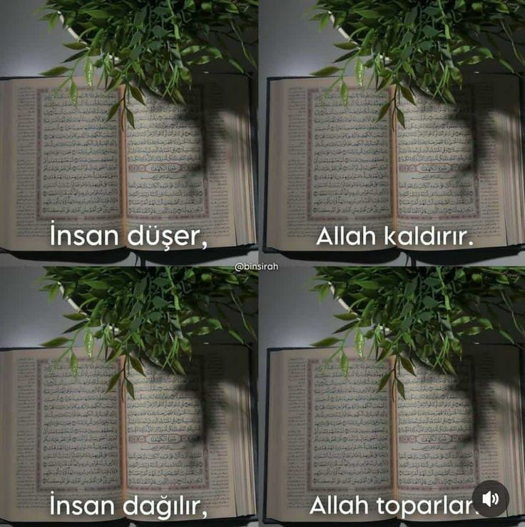 Elhamdülillah, Allah'a güven..