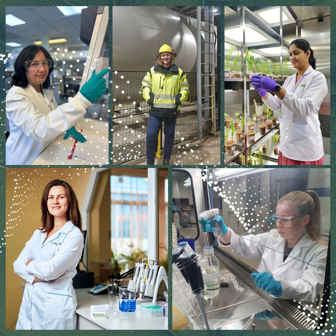 👩🏻‍🔬 Innovation thrives on curiosity and diverse perspectives. On this International Day of Girls and Women in Science, we celebrate the incredible minds shaping the future of agriculture. From lab to field, these innovators are cultivating change and growing possibilities.
#IDWGS