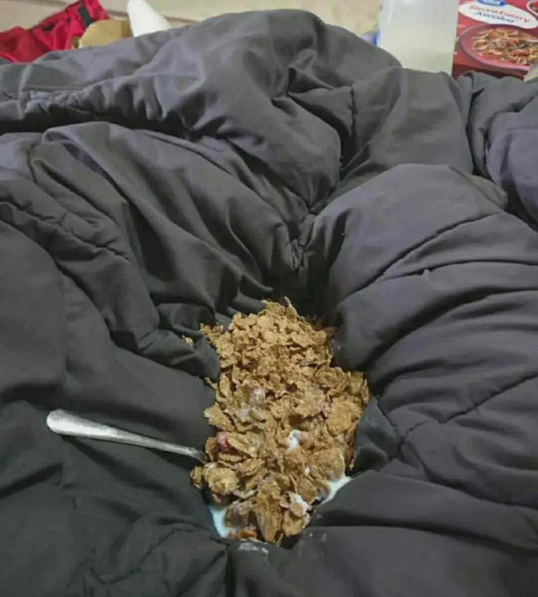 cactus_chaleur's tweet image. sur ce reseau g vu des céréales dans le trou du cul d'une meuf donc vous avez rien a dire si je mange ça dans mon lit