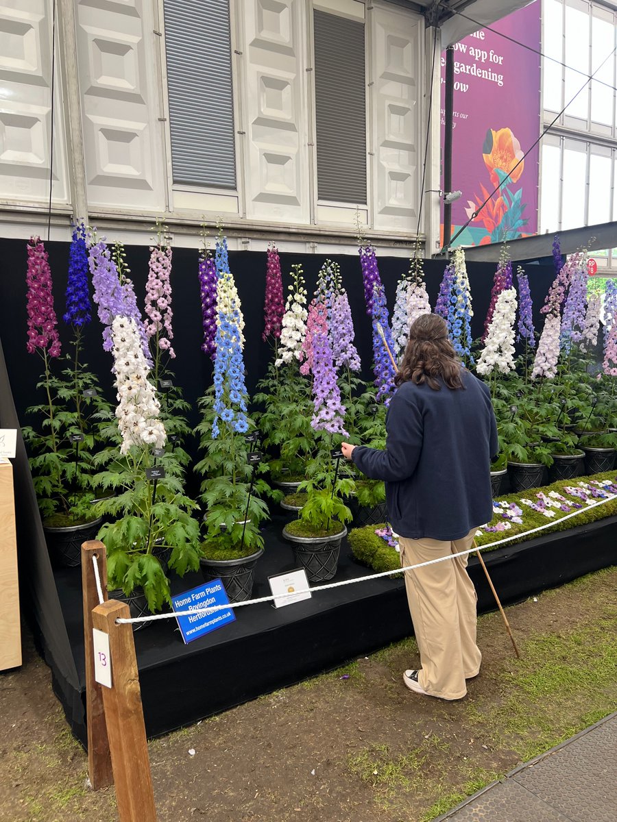 Sienna Hosta tweet media