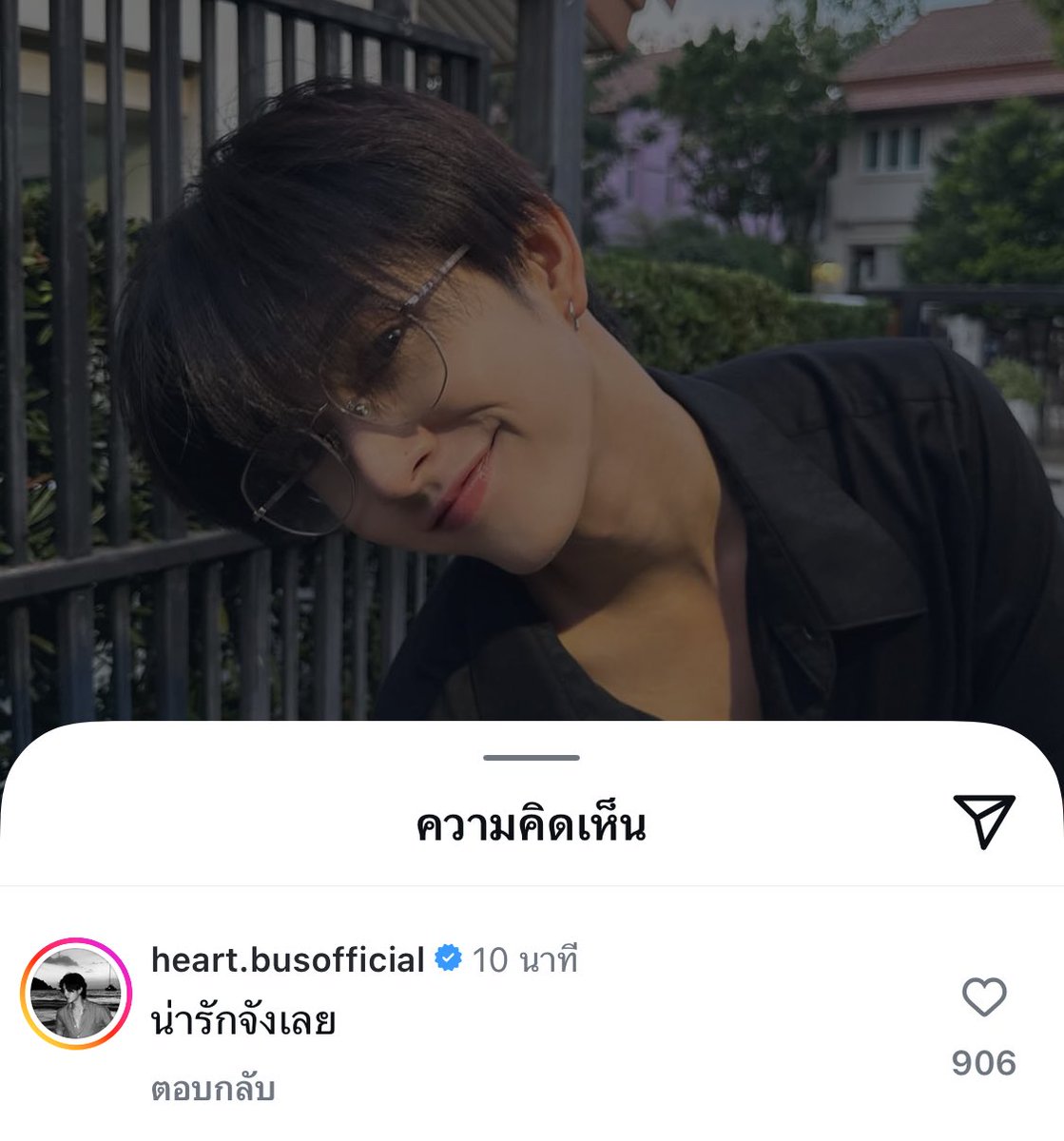 cutemycatmemory's tweet image. 😽