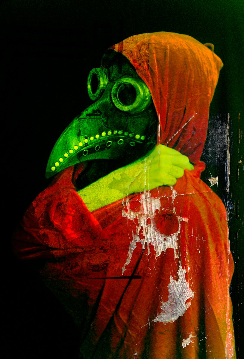 Mark Kelly tweet media