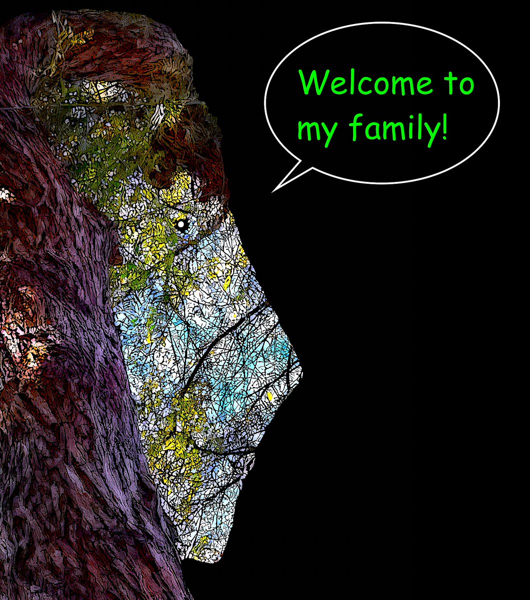 Treefrix's tweet photo. Treefrix #266🌳 is inviting you all to join the Treefrix family 🧌💚
@objktcom
Happy #TEZOSTUESDAY ✨👍
#tezoscommunity #treefrix #NFTCommuntiy #NaturePhotography https://t.co/c2XSdAxUVy