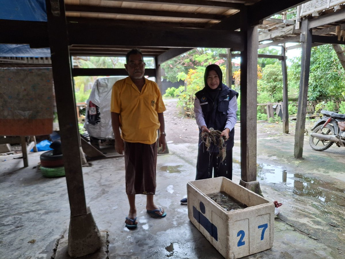 MLuhkan's tweet photo. Senin (15/02/2025),Muliyati,luhkan kab.pinrang,Muhammaming,anggota pokdakan potongnge,Desa Mattongang togang,kec.Mattiro sompe,pengambilan data produksi,udang windu,tambak tradisional,sebanyak 15kg,size 51,harga rp.73.000,-
#GiatLuhkanSatminkalMaros
#Pinrang
#Panen
#Luhlapor https://t.co/dvoIIUNDTw