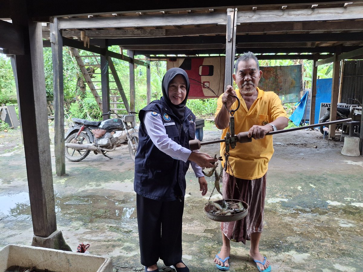 MLuhkan's tweet photo. Senin (15/02/2025),Muliyati,luhkan kab.pinrang,Muhammaming,anggota pokdakan potongnge,Desa Mattongang togang,kec.Mattiro sompe,pengambilan data produksi,udang windu,tambak tradisional,sebanyak 15kg,size 51,harga rp.73.000,-
#GiatLuhkanSatminkalMaros
#Pinrang
#Panen
#Luhlapor https://t.co/dvoIIUNDTw