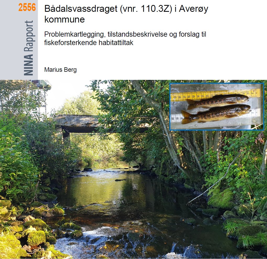 NINAforskning's tweet photo. Ny rapport: Bådalselva (vnr. 110.3Z) i Averøy kommune – Problemkartlegging, tilstandsbeskrivelse og forslag til fiskeforsterkende habitattiltak. #Averøy #sjøørret #laks #ungfisk https://t.co/E9xeiiUEOy https://t.co/LjMlVyWuj6