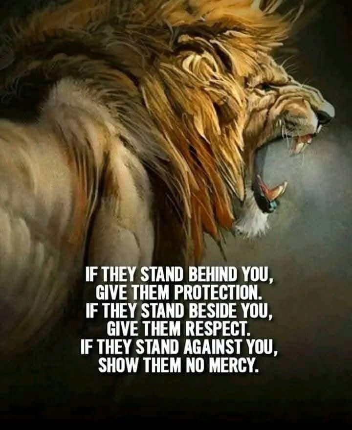 LionOfJudah1975's tweet photo. @elonmusk If this is not decided soon, we may lose the momentum necessary to save our Republic. https://t.co/42Gb7QUIce