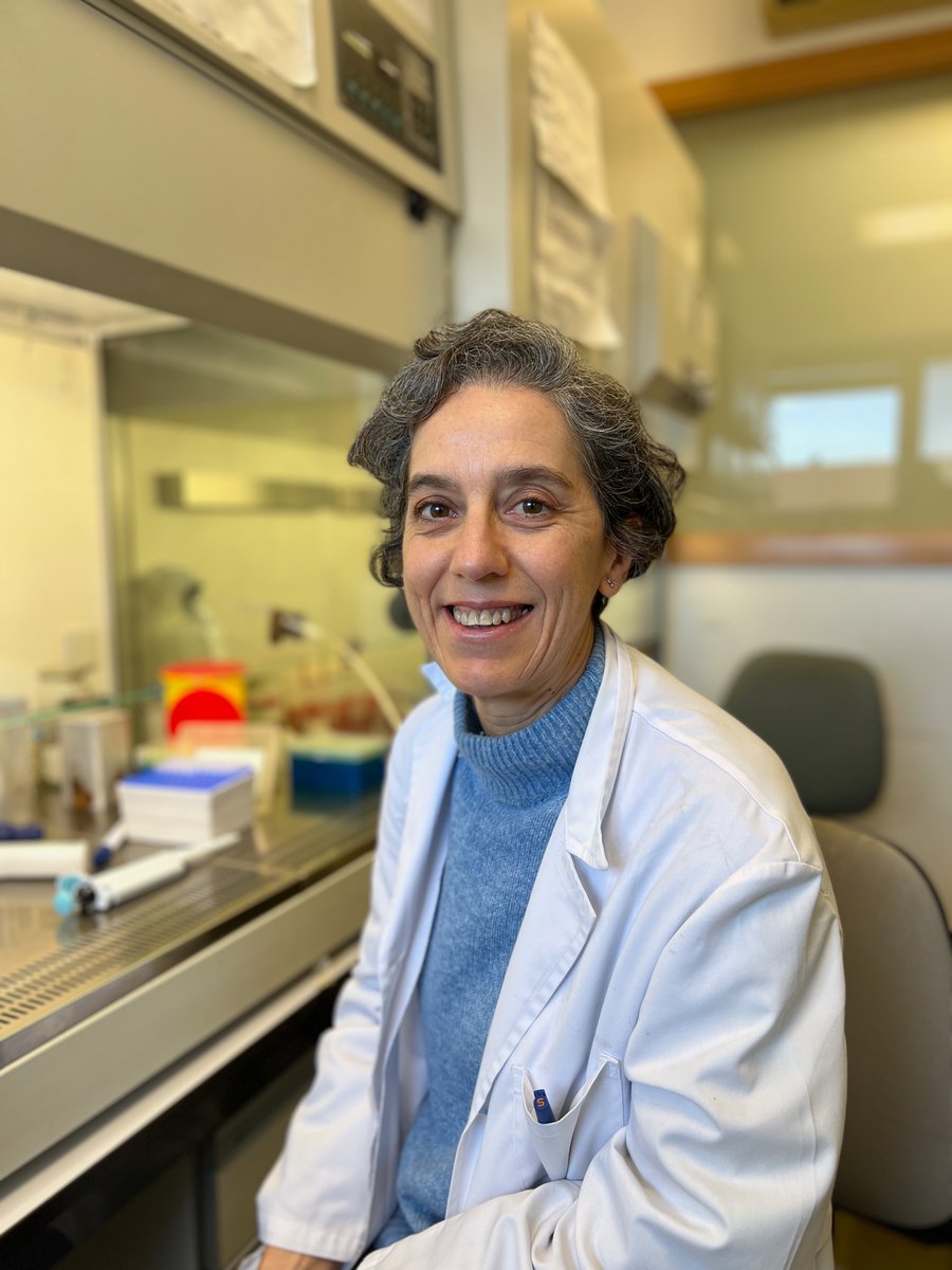 Oncología Molecular (@oncomol) on Twitter photo Hoy queremos felicitar a un pilar fundamental de nuestro grupo, las investigadoras, y a todas las mujeres que dedican su tiempo a la ciencia y la investigación. ¡Feliz día y gracias a todas por seguir investigando! 👩⚕️👩🏫👩🔬
<a href="/Igualdad_UCLM/">Delegada del Rector para Políticas de Igualdad</a>
<a href="/IIBmCSICUAM/">IIBM</a>
#TodasHacemosCiencia
#UCLM11F Hoy queremos felicitar a un pilar fundamental de nuestro grupo, las investigadoras, y a todas las mujeres que dedican su tiempo a la ciencia y la investigación. ¡Feliz día y gracias a todas por seguir investigando! 👩⚕️👩🏫👩🔬
<a href="/Igualdad_UCLM/">Delegada del Rector para Políticas de Igualdad</a>
<a href="/IIBmCSICUAM/">IIBM</a>
#TodasHacemosCiencia
#UCLM11F