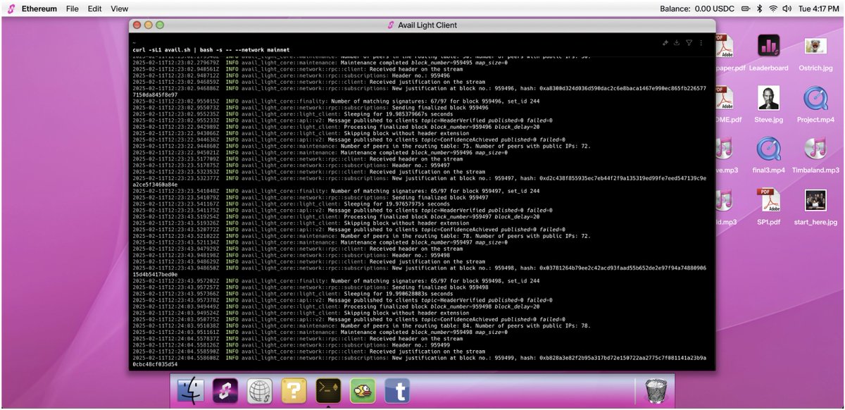 Running a Avail Light Node on <a href="/SuccinctLabs/">Succinct</a> World  Computer 🖥️